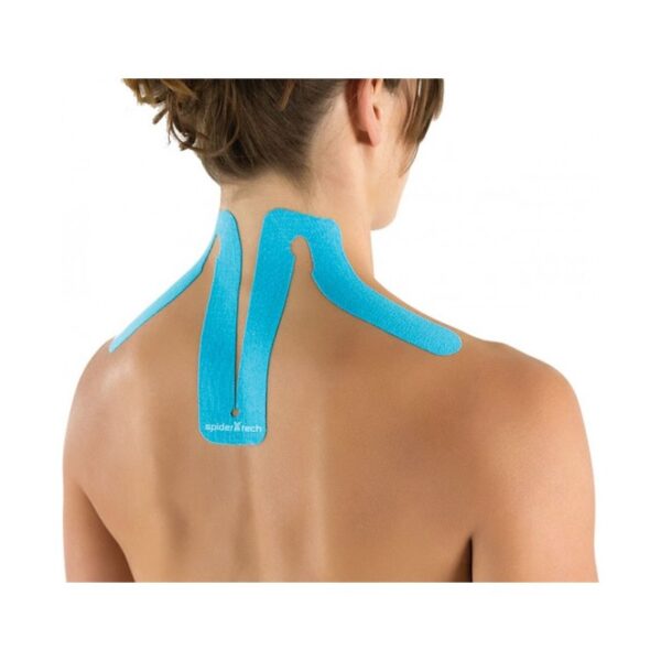 cuello-spider